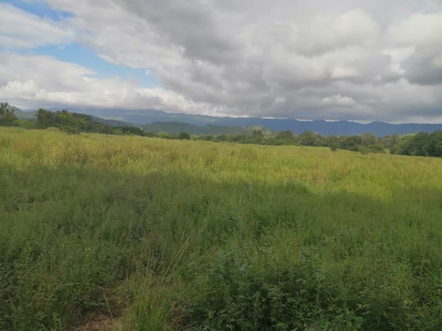 b75734cb-9398-41b0-a5fd-671e722a5b2d