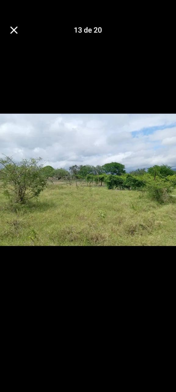 52c0091c-47a0-4383-acf4-c6a7446c358e