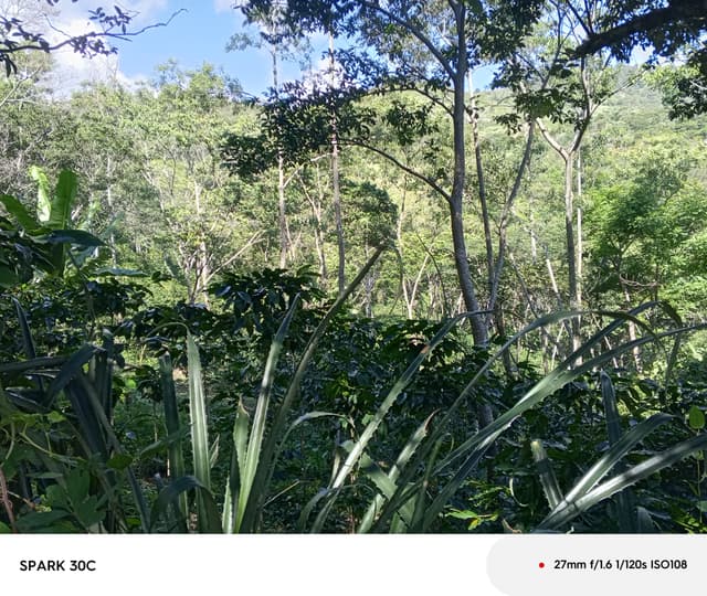 faca1fd7-b093-4602-92a1-867fcd222aee