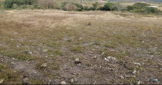 9d959ec6-d097-46d3-ab85-b34e8644655b