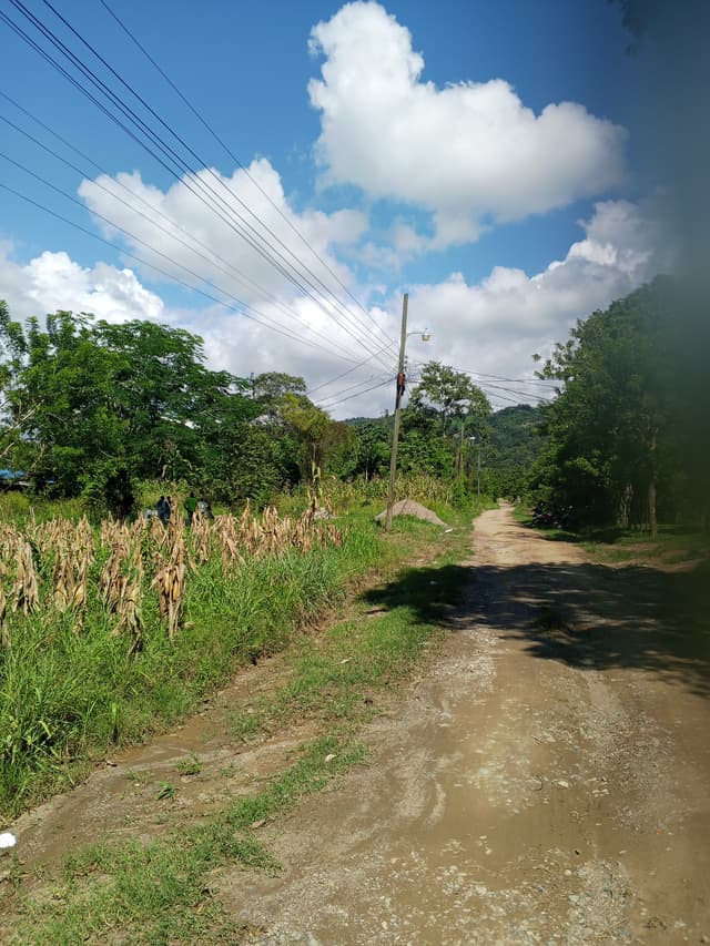 68fc69ce-1dff-4c21-ae42-f6ec6ed10fd3