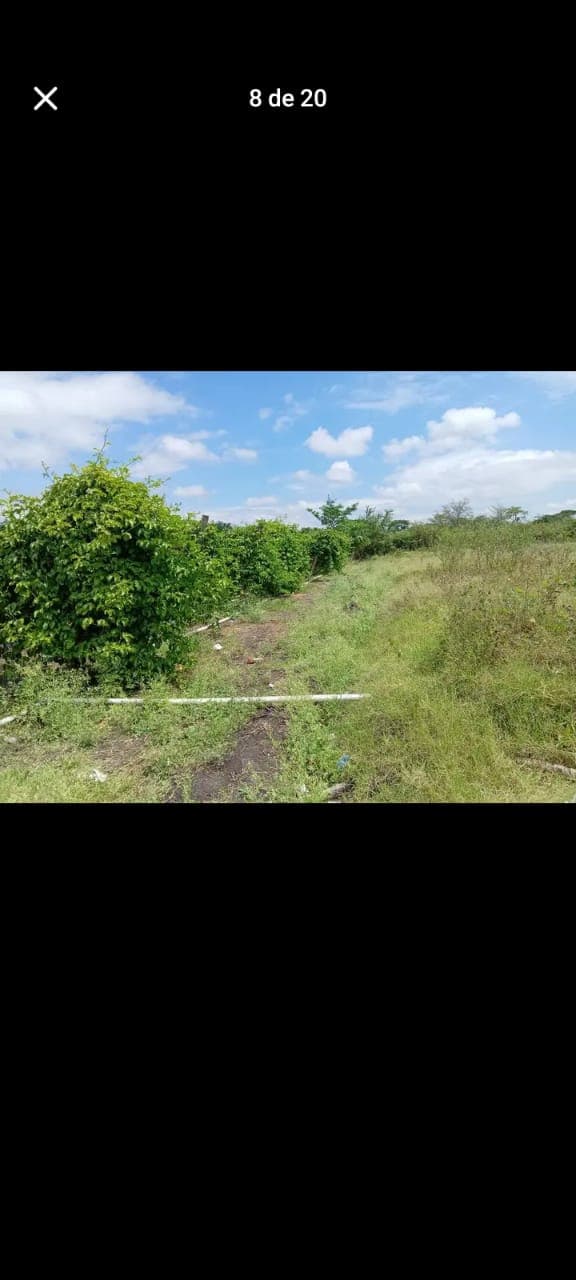 52c0091c-47a0-4383-acf4-c6a7446c358e