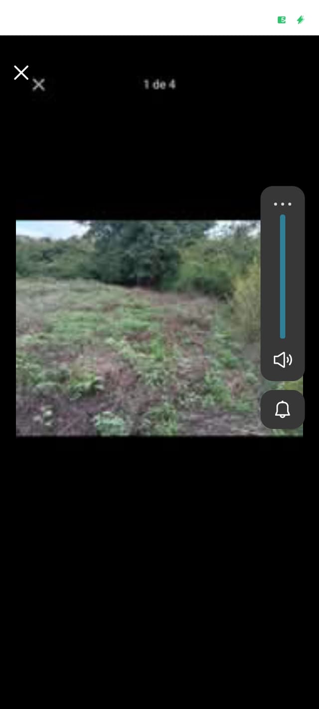 6eebd21a-3b46-496e-96c8-40136579ef7d