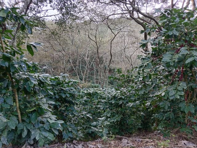 74113378-fc0e-4b8f-acfb-0369c97bae65