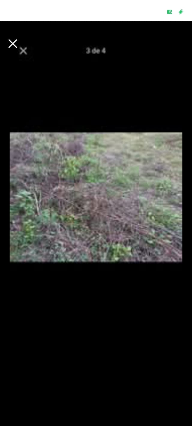 6eebd21a-3b46-496e-96c8-40136579ef7d