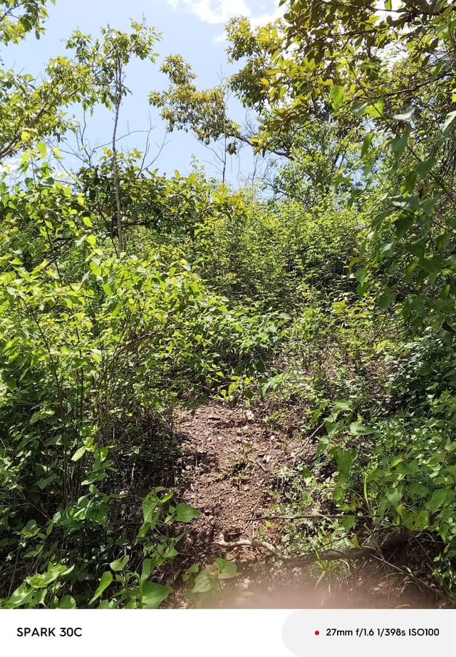 a9d8ee47-2666-4172-b2ab-58037109e5cd