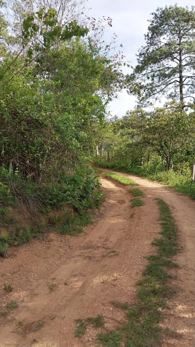 a9d8ee47-2666-4172-b2ab-58037109e5cd