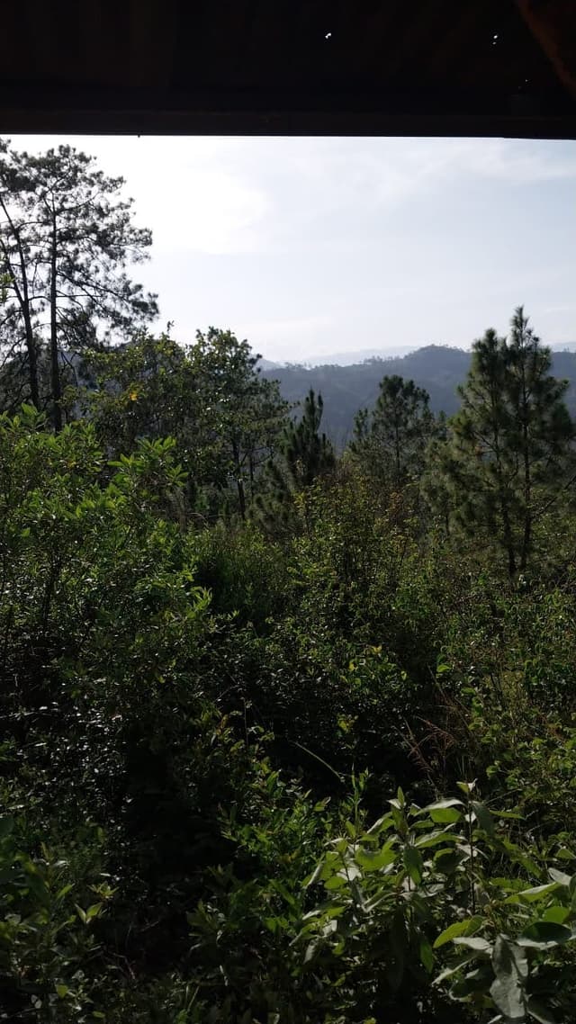 a9d8ee47-2666-4172-b2ab-58037109e5cd