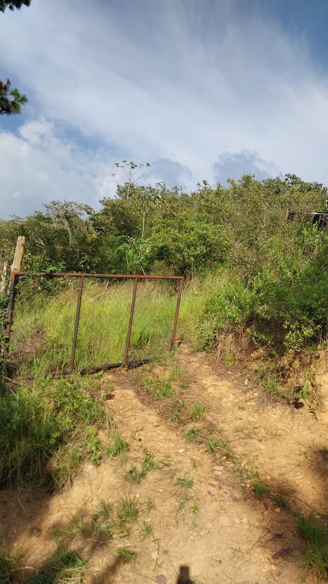 a9d8ee47-2666-4172-b2ab-58037109e5cd