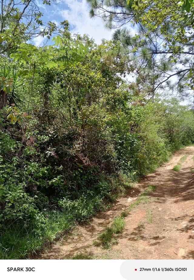 a9d8ee47-2666-4172-b2ab-58037109e5cd